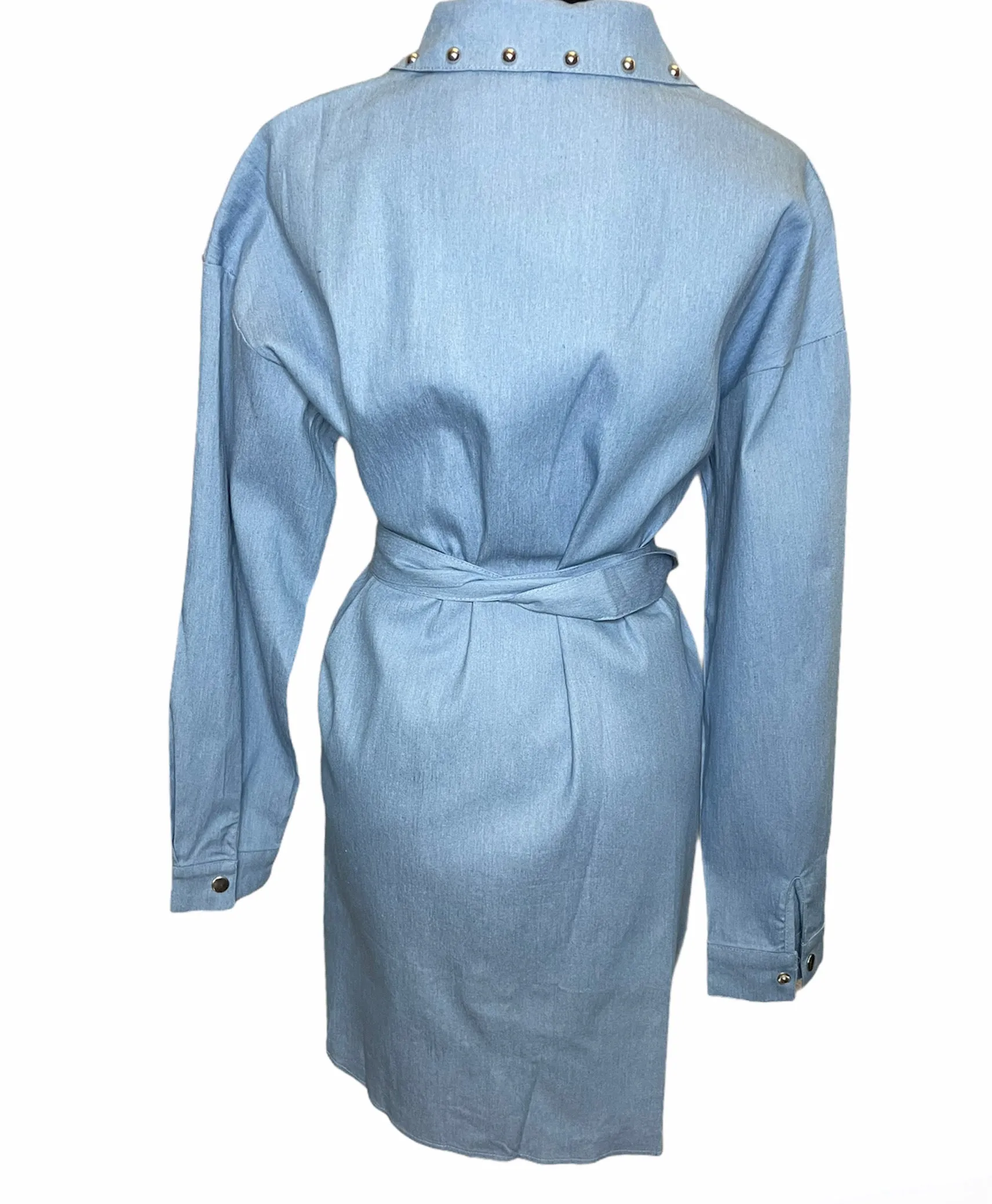 Simply Riveted Denim Dress